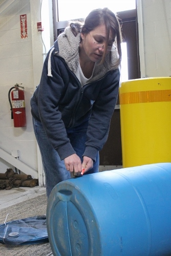 Rain Barrel 2014 (20)